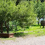 B&B Nonna Iolanda 카미글리아텔로 실라노
