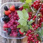 B&B Nonna Iolanda 카미글리아텔로 실라노