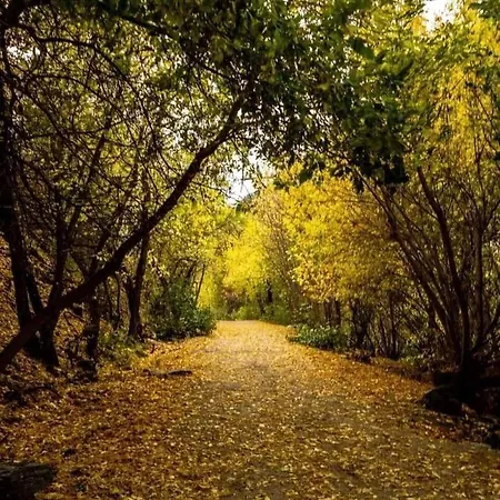 Nonna Iolanda Bed & Breakfast Camigliatello Silano