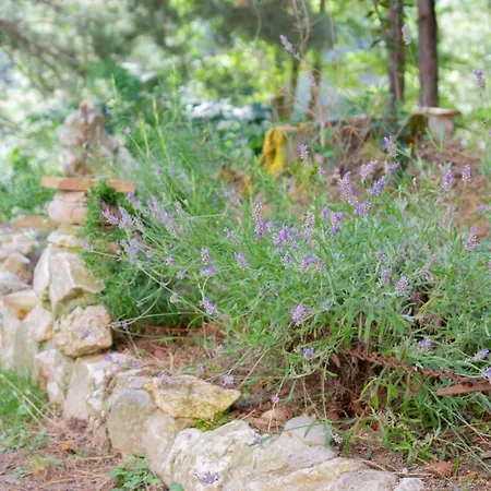 Nonna Iolanda Bed & Breakfast