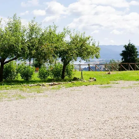 Bed & Breakfast Nonna Iolanda