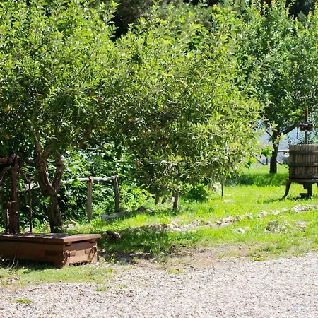 Bed & Breakfast Nonna Iolanda Camigliatello Silano