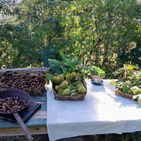 Nonna Iolanda Bed & Breakfast