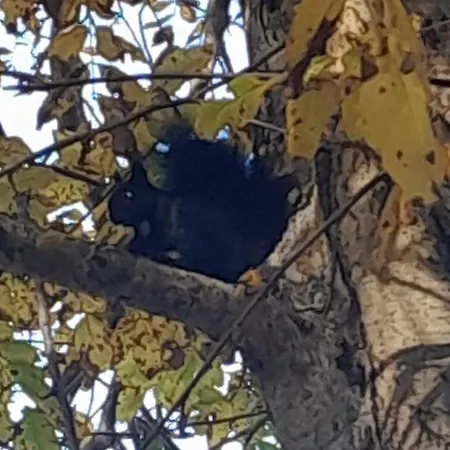 Nonna Iolanda Frühstückspension 3*