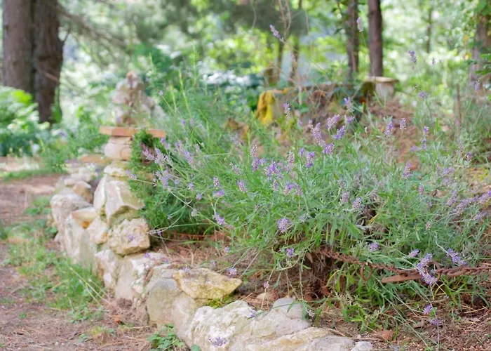 Nonna Iolanda לינה וארוחת בוקר