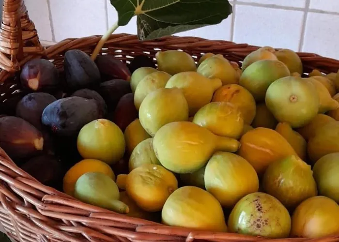 Nocleg ze śniadaniem Nonna Iolanda Camigliatello Silano