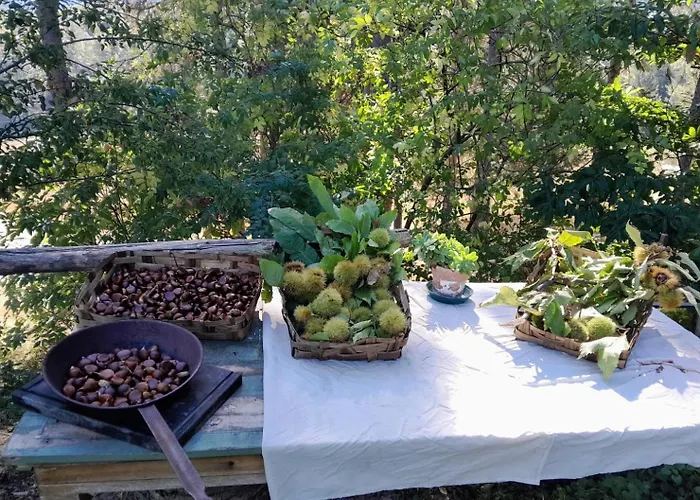 Nonna Iolanda Bed & Breakfast