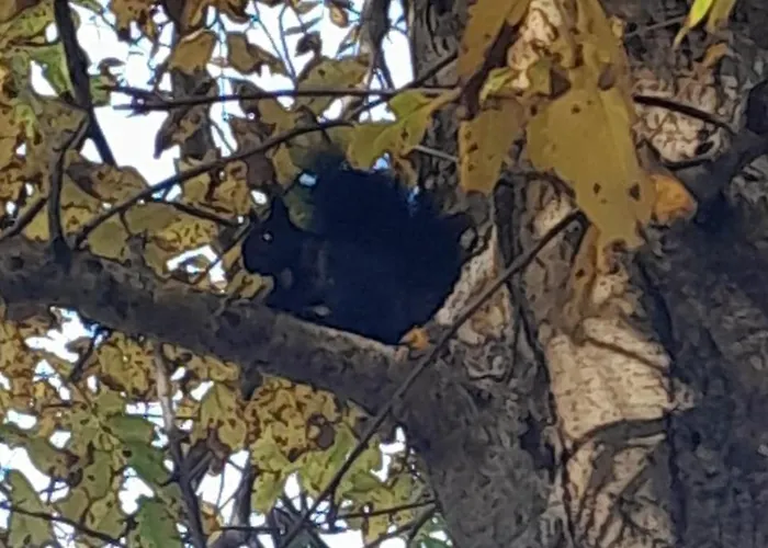 Nonna Iolanda Nocleg ze śniadaniem 3*