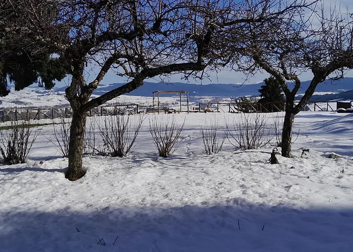 Nonna Iolanda 住宿加早餐酒店